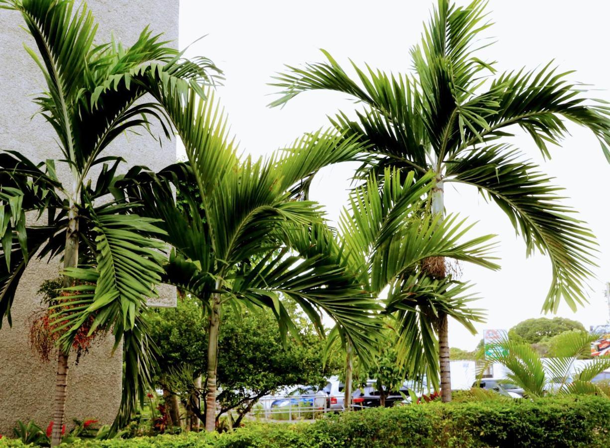 Crystoural Apartment Liguanea Sovereign Apt - 2 Bedrooms, 3 Beds, Host 4 Guest- Kingston! Esterno foto