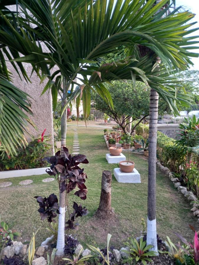 Crystoural Apartment Liguanea Sovereign Apt - 2 Bedrooms, 3 Beds, Host 4 Guest- Kingston! Esterno foto